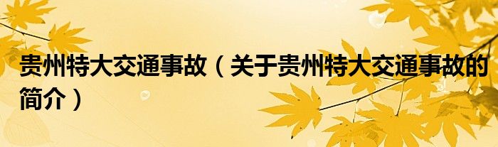 貴州特大交通事故（關(guān)于貴州特大交通事故的簡(jiǎn)介）