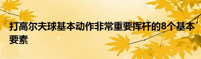 打高爾夫球基本動作非常重要揮桿的8個基本要素