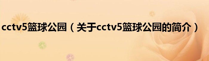 cctv5籃球公園（關(guān)于cctv5籃球公園的簡介）