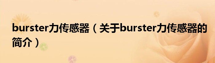 burster力傳感器（關(guān)于burster力傳感器的簡介）