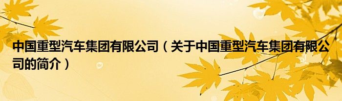 中國重型汽車集團有限公司（關(guān)于中國重型汽車集團有限公司的簡介）