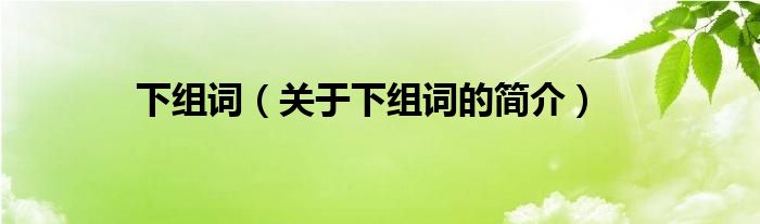 下組詞（關(guān)于下組詞的簡(jiǎn)介）