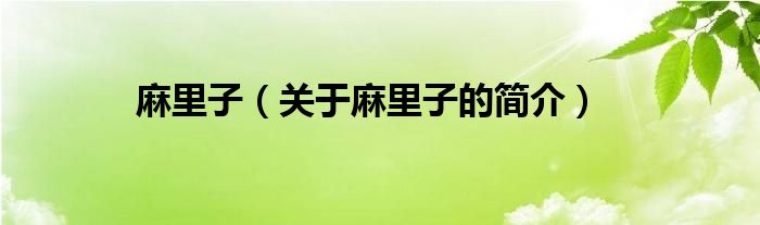 麻里子（關(guān)于麻里子的簡(jiǎn)介）