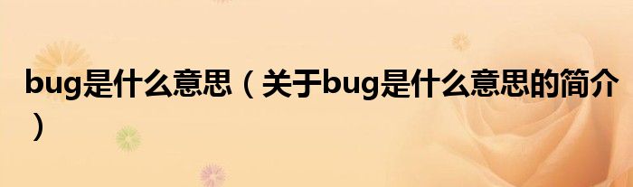 bug是什么意思（關(guān)于bug是什么意思的簡介）