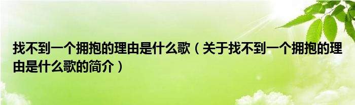 找不到一個擁抱的理由是什么歌（關(guān)于找不到一個擁抱的理由是什么歌的簡介）