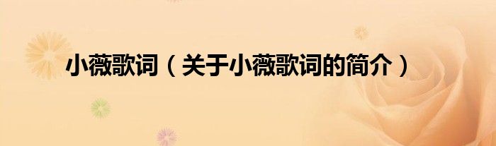 小薇歌詞（關(guān)于小薇歌詞的簡(jiǎn)介）