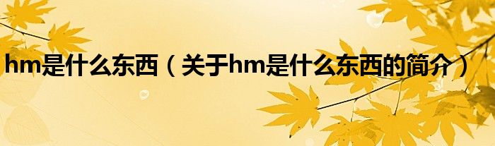 hm是什么東西（關(guān)于hm是什么東西的簡介）