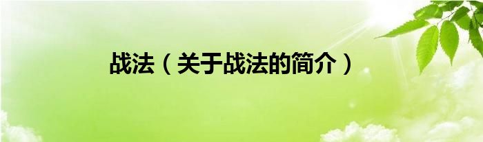 戰(zhàn)法（關(guān)于戰(zhàn)法的簡(jiǎn)介）