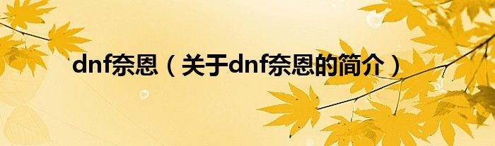 dnf奈恩（關(guān)于dnf奈恩的簡介）