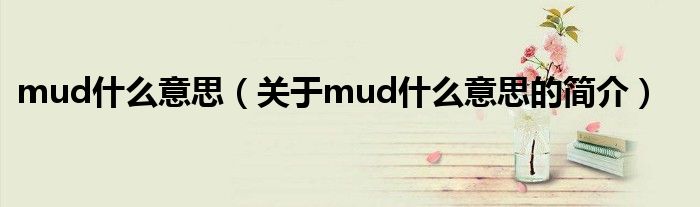 mud什么意思（關(guān)于mud什么意思的簡介）