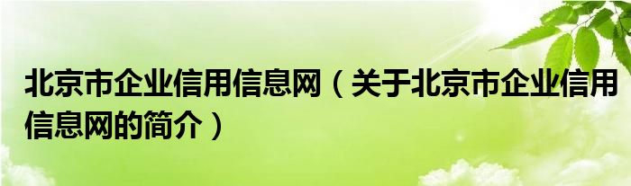 北京市企業(yè)信用信息網(wǎng)（關(guān)于北京市企業(yè)信用信息網(wǎng)的簡(jiǎn)介）