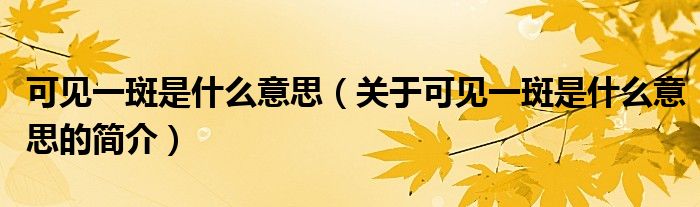 可見一斑是什么意思（關于可見一斑是什么意思的簡介）