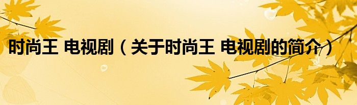 時尚王 電視劇（關于時尚王 電視劇的簡介）