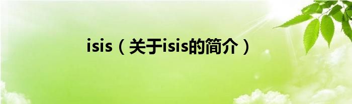 isis（關(guān)于isis的簡介）