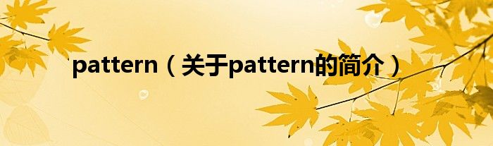 pattern（關(guān)于pattern的簡介）