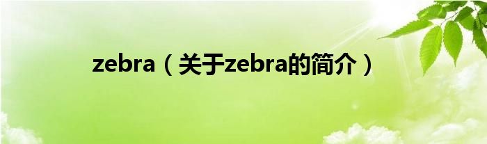 zebra（關(guān)于zebra的簡介）