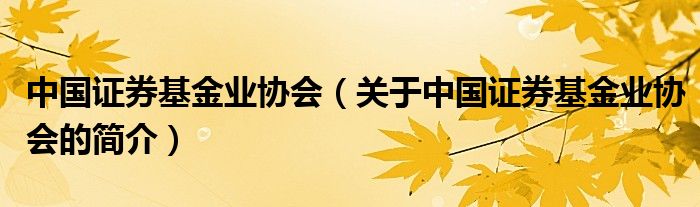 中國證券基金業(yè)協(xié)會（關(guān)于中國證券基金業(yè)協(xié)會的簡介）