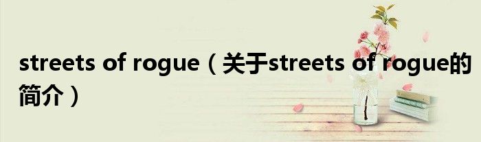 streets of rogue（關(guān)于streets of rogue的簡(jiǎn)介）