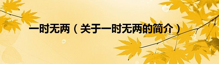 一時(shí)無(wú)兩（關(guān)于一時(shí)無(wú)兩的簡(jiǎn)介）