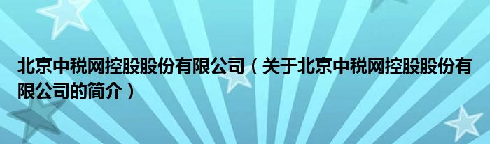 北京中稅網(wǎng)控股股份有限公司（關于北京中稅網(wǎng)控股股份有限公司的簡介）