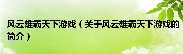 風(fēng)云雄霸天下游戲（關(guān)于風(fēng)云雄霸天下游戲的簡(jiǎn)介）