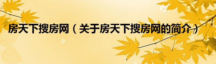 房天下搜房網(wǎng)（關(guān)于房天下搜房網(wǎng)的簡介）