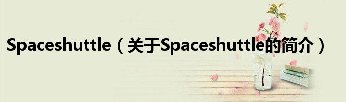 Spaceshuttle（關(guān)于Spaceshuttle的簡(jiǎn)介）