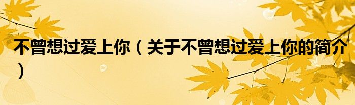 不曾想過愛上你（關(guān)于不曾想過愛上你的簡介）