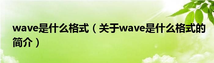 wave是什么格式（關(guān)于wave是什么格式的簡(jiǎn)介）