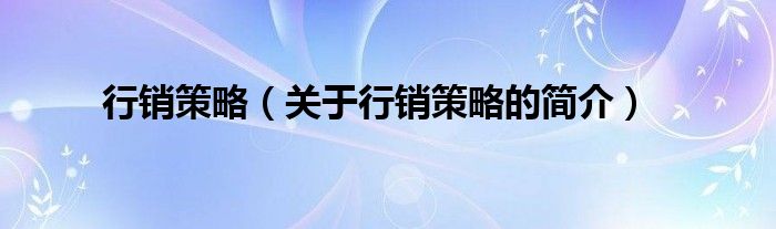 行銷策略（關(guān)于行銷策略的簡(jiǎn)介）