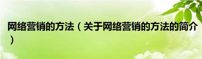 網(wǎng)絡營銷的方法（關于網(wǎng)絡營銷的方法的簡介）