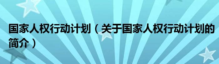 國家人權(quán)行動(dòng)計(jì)劃（關(guān)于國家人權(quán)行動(dòng)計(jì)劃的簡介）