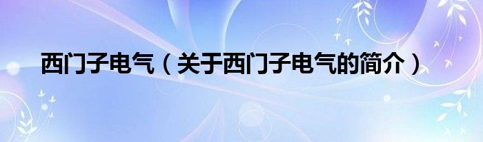 西門子電氣（關(guān)于西門子電氣的簡介）