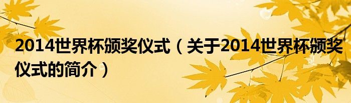 2014世界杯頒獎(jiǎng)儀式（關(guān)于2014世界杯頒獎(jiǎng)儀式的簡介）