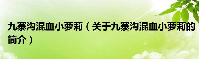 九寨溝混血小蘿莉（關(guān)于九寨溝混血小蘿莉的簡介）