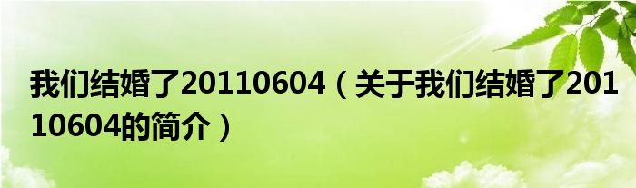 我們結(jié)婚了20110604（關(guān)于我們結(jié)婚了20110604的簡介）