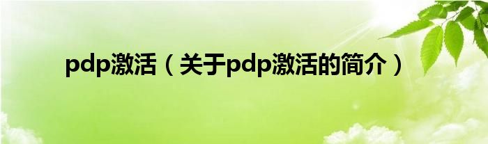 pdp激活（關(guān)于pdp激活的簡介）