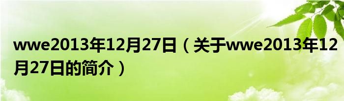 wwe2013年12月27日（關(guān)于wwe2013年12月27日的簡介）