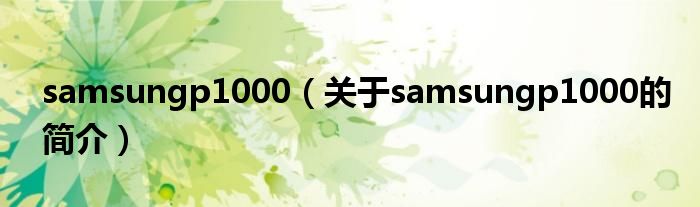 samsungp1000（關(guān)于samsungp1000的簡(jiǎn)介）