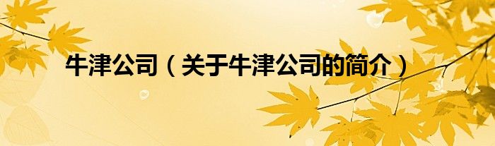 牛津公司（關(guān)于牛津公司的簡介）