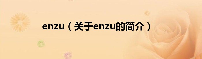 enzu（關(guān)于enzu的簡(jiǎn)介）