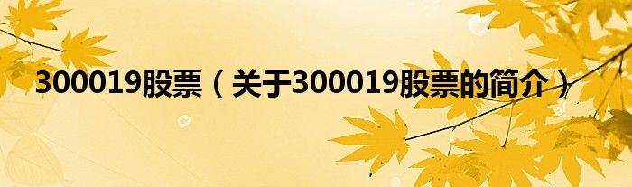 300019股票（關于300019股票的簡介）