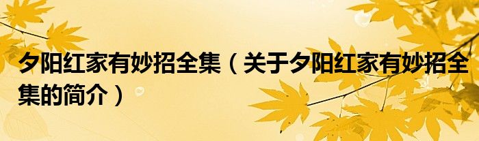 夕陽紅家有妙招全集（關(guān)于夕陽紅家有妙招全集的簡介）