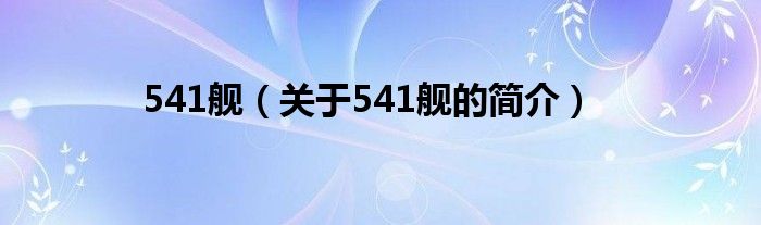 541艦（關(guān)于541艦的簡(jiǎn)介）