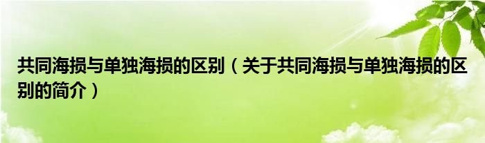 共同海損與單獨海損的區(qū)別（關(guān)于共同海損與單獨海損的區(qū)別的簡介）