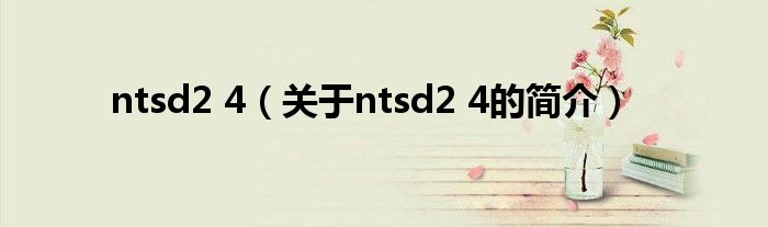 ntsd2 4（關(guān)于ntsd2 4的簡(jiǎn)介）