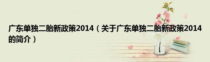 廣東單獨二胎新政策2014（關(guān)于廣東單獨二胎新政策2014的簡介）