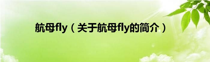 航母fly（關(guān)于航母fly的簡介）