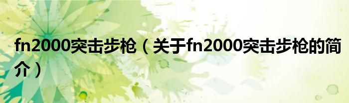 fn2000突擊步槍（關(guān)于fn2000突擊步槍的簡(jiǎn)介）