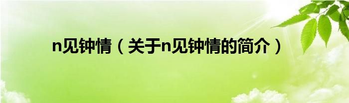 n見(jiàn)鐘情（關(guān)于n見(jiàn)鐘情的簡(jiǎn)介）